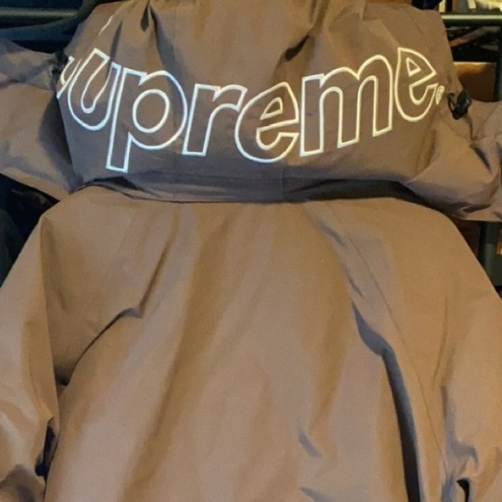 Supreme/Gortex 700 fill biggie, Brown